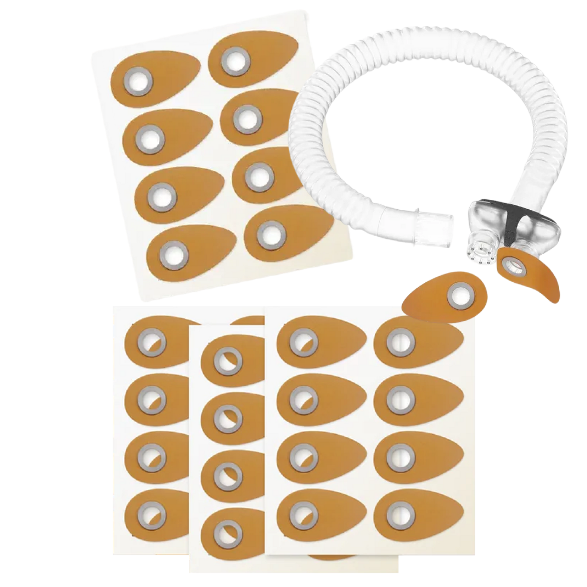 Eclipse Starter Kit Medium