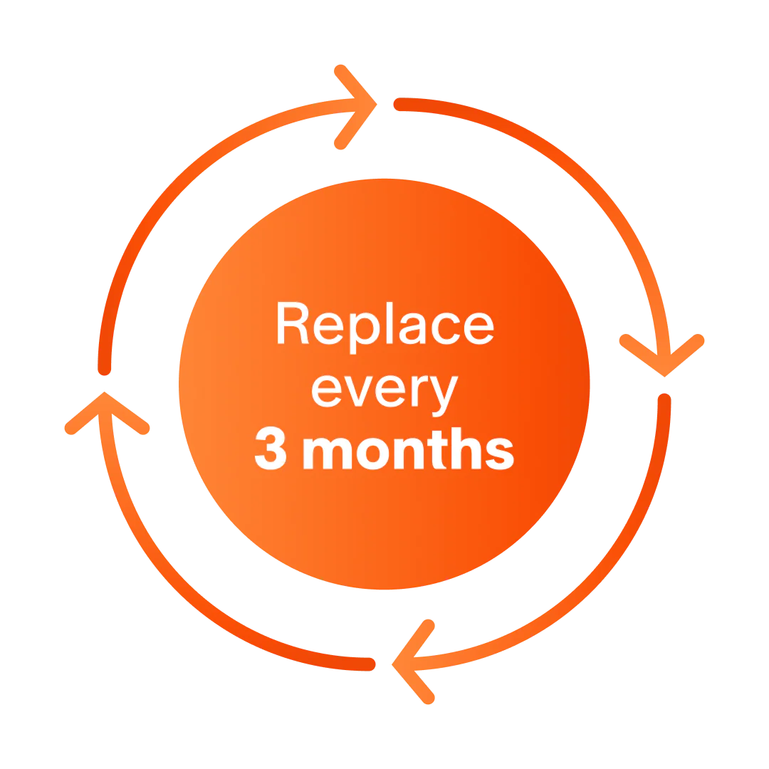 It's advised to replace this item every 3 months