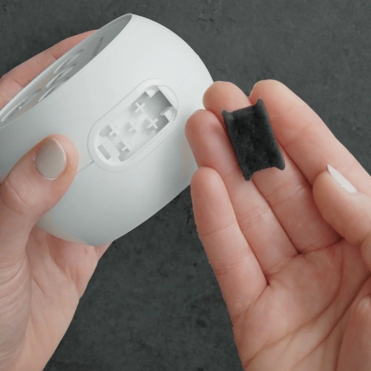 Image of someone holding a Transcend Micro on their left hand and a PureFresh Filter on the right hand.